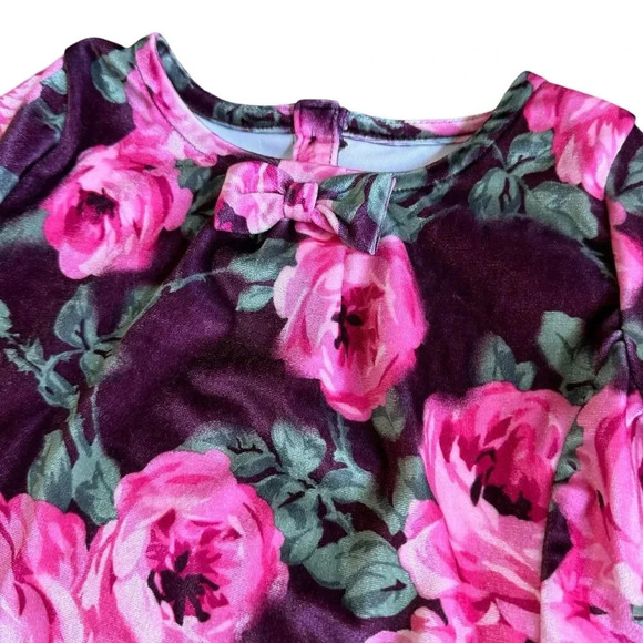 Gymboree Pink Mauve Roses Floral Crush Velvet Dress 3/4 Sleeve 5T - Picture 2 of 5